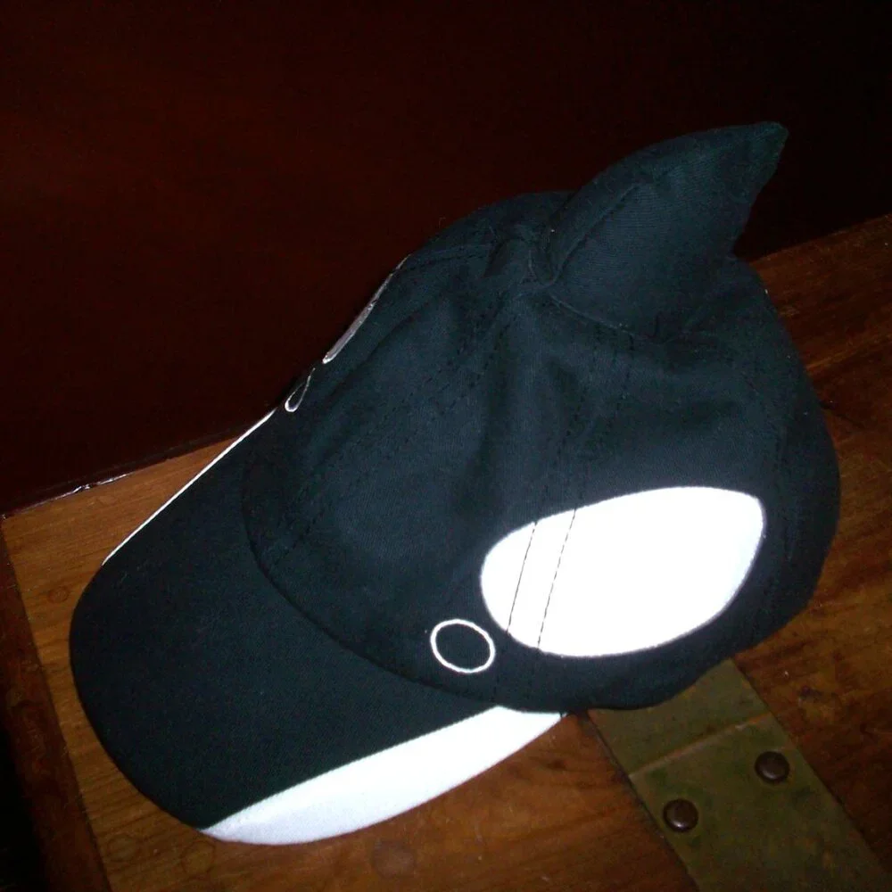 Shamu SeaWorld Orca Whale Fin Adjustable Baseball Dad Cap Souvenir, nice - Picture 1 of 7